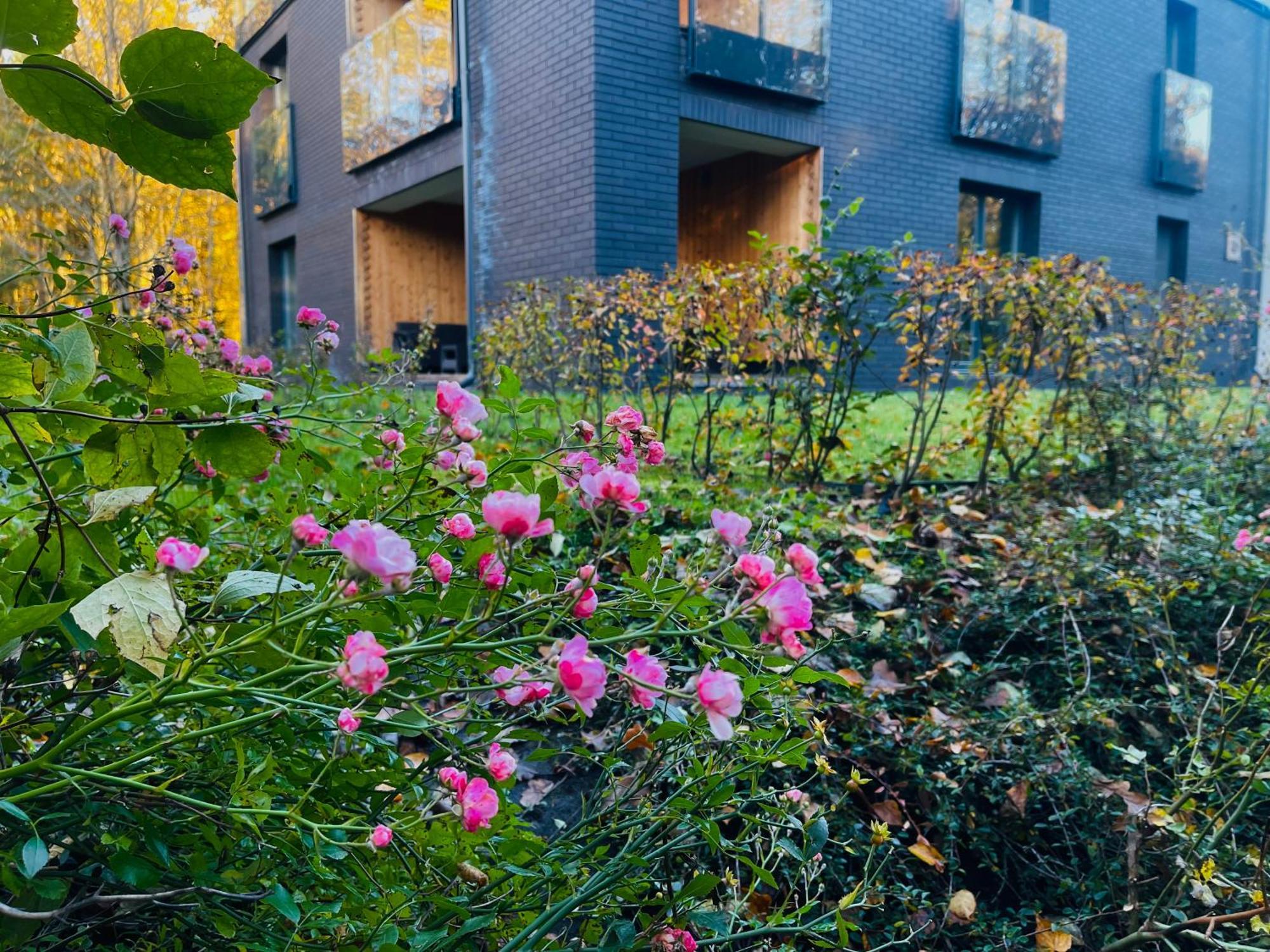 Apartament Magia Puszczy Z Widokiem Na Puszcze Bialowieska Hajnówka Екстериор снимка